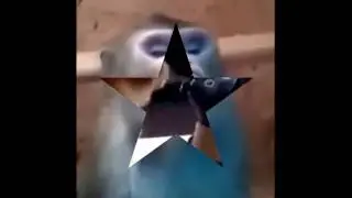 ОЧЕНЬ СМЕШНЫЕ ВИДЕОРОЛИКИ В ИНТЕРНЕТЕ !