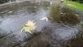 ЭТО ВСЁ  * cover🎸*