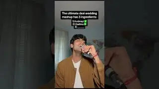 The Ultimate Desi Wedding Mashup 