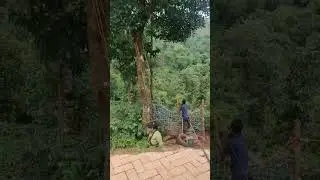 Rajaji wala reel to banta hai P2 #rajaji