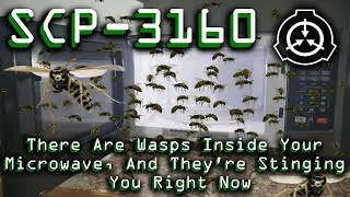 SCP-3160 | There Are Wasps Inside Your Microwave, And They're Stinging You Right Now