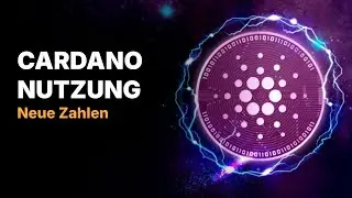 Cardano: Aktivität steigt schlagartig an