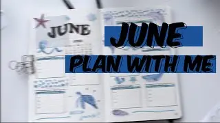 PLAN WITH ME - JUNE // Bullet Journal 2021
