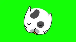 GREEN SCREEN CATS FREE FOR VIDEOS 112 - Green Screen Effects