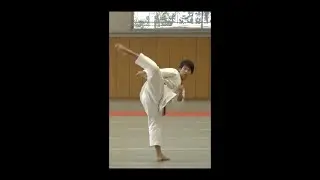 Pronunciation & Technique of Top 7 Karate Kicks! 