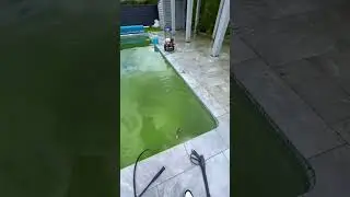 Another pool ready for summer. 
