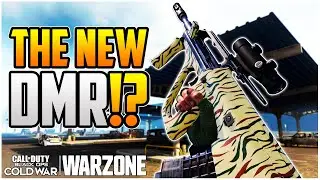 THE NEW DMR!! Build The BEST Cold War AUG Class Setup/Loadout In Warzone Season 1 Reloaded