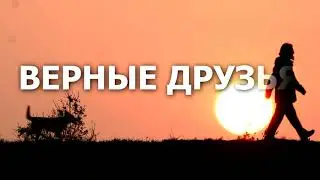 Уроки Vegas