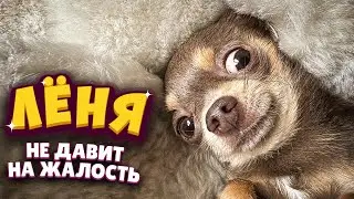 Лёня не давит на жалость