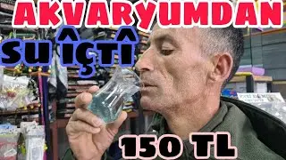 AKVARYUMDAN PİS SU İCEN ADAM
