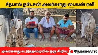 சீதபால் நடேசன் அவர்களது பையன் ரவி அவர்களது  Rekla காளைகள் - Rekla race #rekla_race_2023 #reklarace