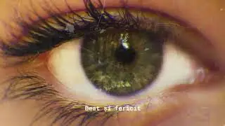 The Motans - La Nesfârșit 1 Hour/Ora loop cu versuri.