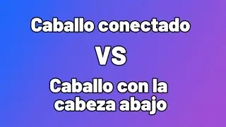 Caballo conectado / Caballo con la cabeza colocada.