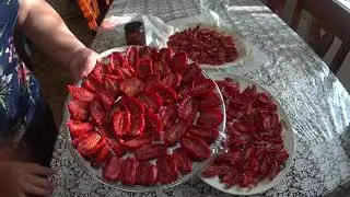 ТОМАТЫ ВЯЛЕНЫЕ,  БЫСТРЫЙ СПОСОБ СУШКИ ТОМАТОВ (в два раза быстрее) И Замрозка.