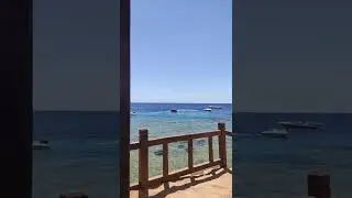 Хилтон Шаркс Бэй, Египет. Hilton Sharks Bay, Egypt.