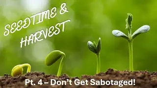 Seedtime & Harvest: Part 4 // Don't Get Sabotaged!