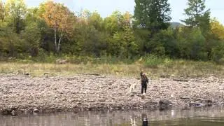 Угино