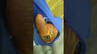 тут тут тут тут тут