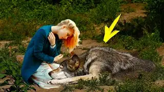 The she-wolf was dying in the forest, begging to save her puppies. This girl couldn't pass by...