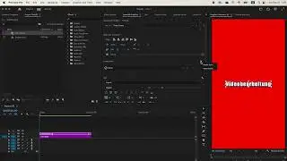 VIDEOBEARBEITUNG FÜR ANFÄNGER - Textstil erstellen und exportieren - Premiere Pro
