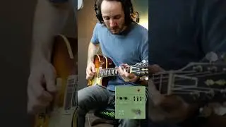 Carry On Wayward Son  🎸-  29 Pedals FLWR