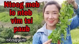 Tshuaj zoo mob pob  khau,txhab txiag kev lig