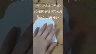 ✨делаю домик для уточки До Ло Фан фан✨