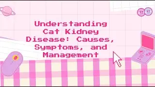 🐾 Understanding Cat Kidney Disease: Causes, Symptoms, and Management | Vet-Approved Guide 🐾