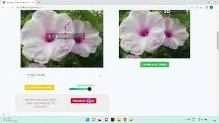 Add logo to Photo Free Online Tool - imageonline.co