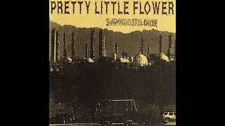 Pretty Little Flower - Swarming Industrial Cancer (2002) grindcore | powerviolence | hardcore | punk