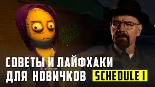 Tips and tricks for Schedule I beginners