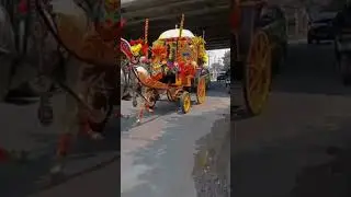 dawuk putra salju