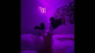 (FREE) Drake x Playboi Carti Type Beat - 