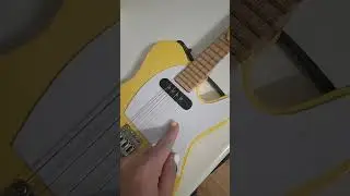 две судьбы дерева