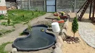 📌 Беларуские  Пальмы! 😯