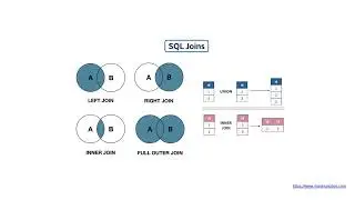 SQL Commands/Clause with Examples || Selenium Java || Automation testing