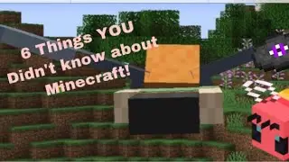 6 Things YOU Didn't Know About Minecraft (Probably)