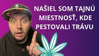 😮Našiel som tajnú miestnosť kde pestovali mari*uanu v opustenej továrni.