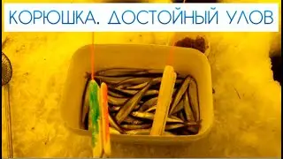 Корюшка \ Достойный улов!