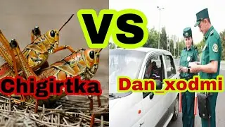 Chigirtka bozori_Dan xodmining qarg'shi
