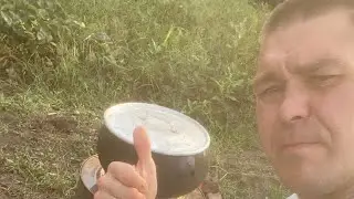 ПРОФЕРМА в прямом эфире