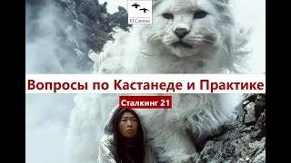 ЭНЕРГЕТИЧЕСКИЕ ФАКТЫ Кастанеды