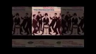 The Honeycombs - How Will I Know