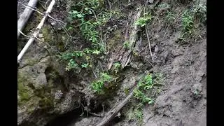 Cave Creek Cave, part 4, 6k