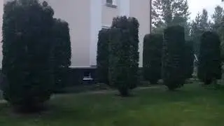 24 августа 2019 г.