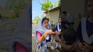 গছ: জীৱনৰ নিৰ্ভৰ যোগ্য বন্ধু