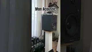 몬어쿠스틱이 튜닝하면 다르다! 터보차저를 단듯한 사운드 #건사오리뷰 #오디오스쿨
