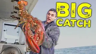 How I catch MASSIVE lobster