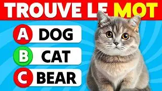 Devine 100 MOTS en ANGLAIS 🧠📚🎓 | Quiz pour Apprendre l'Anglais ✅🤓