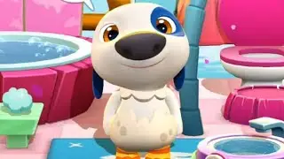 Cute Hank (Level 48)My Talking Hank: Islands Adventure - New Game by Outfit7 Gameplay